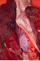 RAW meat pork viscera 0061